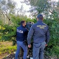 Marijuana in casa, un arresto a Cerignola