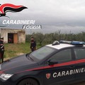 Rapina ai danni del Consorzio di Bonifica di capitanata.