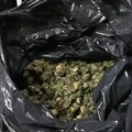 Scoperto a Cerignola un bunker per la produzione di marijuana: 5 arresti