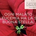 Cerignola, l'AIL torna con le sue  "Stelle di Natale "