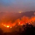 Incendio sul Gargano, la solidarietà del Vescovo Renna