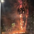 Incendio al Parco 2 giugno di Cerignola. Sforza: «Chi accende il fuoco è un criminale»
