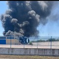 Incendio ecoballe: i cittadini di Cerignola hanno respirato diossina per ore