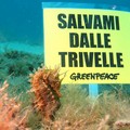 Greenpeace: dalle profondità dei mari un messaggio contro le trivelle