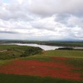 Club per l’Unesco OdV Cerignola promuove l’iniziativa: Lago Capacciotti, patrimonio di biodiversità