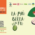 “La più bella sei tu” Il 1° Festival nazionale dell’oliva da tavola 20/22 ottobre 2017, Piazza Mercadante – Cerignola (Fg)
