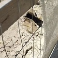 Largo Matera, eventuali strutture storiche nel sottosuolo: la segnalazione del MP La Cicogna