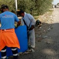 Sindaco Metta :l'opposizione di centro sinistra contro gli inserimenti lavorativi di soggetti svantaggiati.