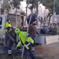 Al via la piantumazione di 12 nuovi alberi a Parco Albanese a Cerignola