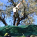 Il lavoro ri-abilita. La comunità ri-accoglie?