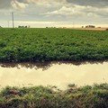 Agricoltori ostaggi del clima e del rischio idraulico