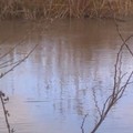 Fiume Ofanto in piena: esondazione in diversi punti