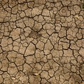 Siccità, anche Cerignola nell'allarme di Coldiretti Puglia: in Capitanata picchi di 38° e -67 milioni di mc d'acqua