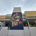 Quasi pronto il murale sulla facciata del Comune di Cerignola: l'annuncio del sindaco Bonito
