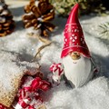 “Gli Elfi di Babbo Natale”, spettacolo in Piazza della Repubblica a Cerignola