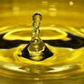 Olio dalla Tunisia, critiche da parte di Confagricoltura