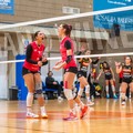La capolista Tonno Callipo passa al PalaDileo: Pallavolo Cerignola sconfitta 3-0