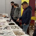 Capodanno a base di pesce sulle tavole pugliesi