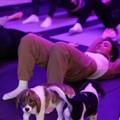 A Cerignola Yoga & Pilates con i cuccioli del rifuglio de “Gli Amici di Balto”