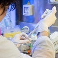 Coronavirus, in Puglia al via la sperimentazione della cura con il plasma dei guariti