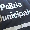 Alcuni numeri sul lavoro della Polizia Municipale nel 2016