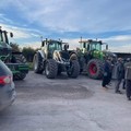 Protesta agricoltori in Capitanata: corteo con mezzi agricoli lungo la SS16