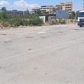 Ripulita la zona antistante il supermercato LIDL a Cerignola