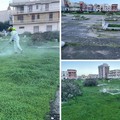 Verde pubblico: al via lo sfalcio dell’erba sul Piano San Rocco