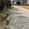 L’intollerabile abbandono di rifiuti a Cerignola: un focus sui contenitori di fast food