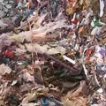 Ecoballe e sversamento illegale dei rifiuti a Cerignola: l’esito dell’incontro tra Bonito e il Prefetto
