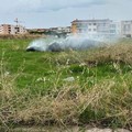 Vanno a fuoco rifiuti nella zona del Cimitero a Cerignola