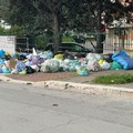 Abbandono rifiuti, a Cerignola nuove sanzioni grazie alle fototrappole