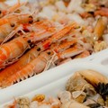  "Sui prodotti ittici congelati occorre maggiore trasparenza in etichetta "