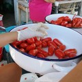 Salsa di pomodoro fatta in casa: la tradizione di Cerignola che si ripete ancora