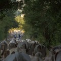 “Senza Tempo”, il documentario del regista cerignolano Giuseppe Valentino