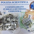 Detenzione di droga, due arresti domiciliari a Cerignola