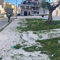 Verde pubblico a Cerignola: sfalcio e potatura in varie zone della città
