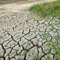 Allerta siccità in provincia di Foggia: gli agricoltori di Cerignola chiedono interventi