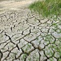 Danni da siccità, ai Comuni meno del 10% degli aiuti dovuti: a Cerignola e Andria assegnato poco più di un milione