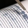 Terremoto di magnitudo 3,5.  Epicentro nel golfo di Manfredonia