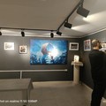 Stramurales Point attivo a Stornara: non solo murales, ma anche servizi turistici presenti sul territorio