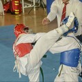Le eccellenze di Cerignola nel taekwondo sul tetto della Campania
