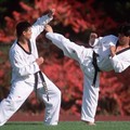  "Simply the Best ", riconoscimenti ai talenti del Taekwondo