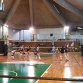 Pallavolo Cerignola, oggi esordio in casa