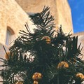  "Natale alla Torre: Christkind ", gli eventi a Cerignola