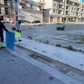 Verde pubblico a Cerignola: manutenzione in varie zone della città