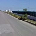 SP77 Cerignola-Manfredonia, autocarro si ribalta e finisce in cunetta
