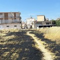 Cerignola, incendio al Piano delle Fosse: le fiamme attraversano l'intera area