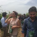 Cantine Aperte: in Puglia format innovativi di turismo esperienziale