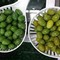 La truffa delle olive verniciate con solfato rame. Sequestrate 85 tonn.